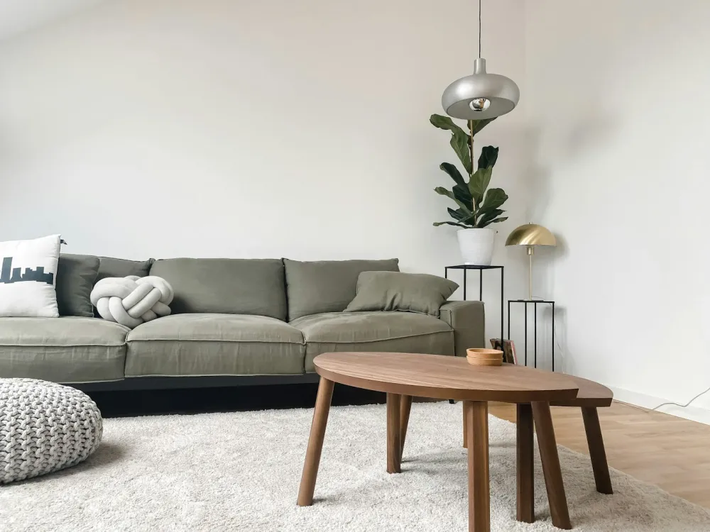 Minimalist Scandinavian living room in sage and oak